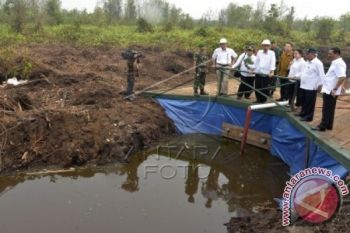 Presiden Jokowi Kunjungi Proyek Sekat Kanal Tumbang Nusa