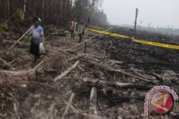 Walhi Ingatkan Pemerintah Serius Cegah Kebakaran Lahan 
