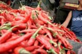 Cabai Merah Sebabkan Riau Deflasi 0,38 Persen