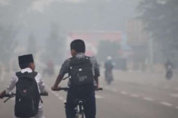 Kabut Asap Di Bengkalis Semakin Pekat
