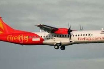Gapura Angkasa Kehilangan Firefly Di Pekanbaru