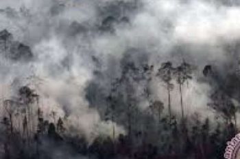  PT ASL Tersangka Bakar Hutan