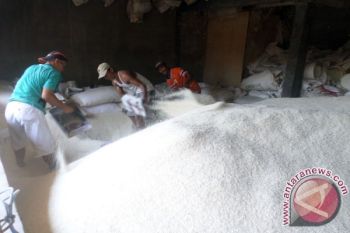 Harga Beras Stabil
