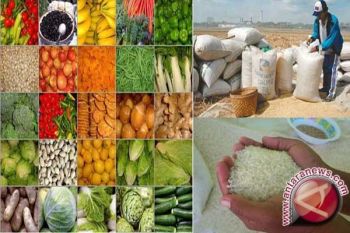 Pemprov Papua dorong peningkatan produksi tanaman pangan 