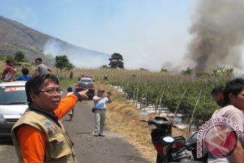 Bpbd Pastikan Titik Api Di Sulut Padam 