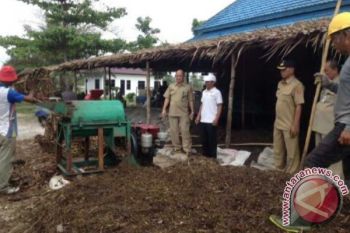 Bupati Kobar Tinjau TPA Sampah Pasir Panjang 