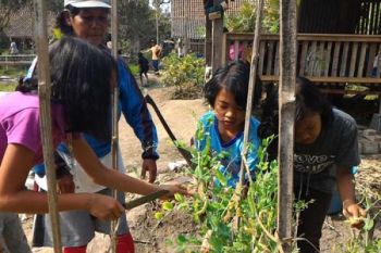 Peserta "Sekolah Sawah" Kawasan Merapi Bertambah
