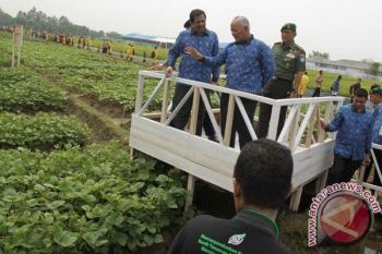 Kementan Jadikan Banyuwangi sebagai Percontohan Nasional Produksi Kedelai