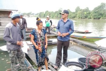 Bupati Kobar Sidak ke Sungai Arut yang Diduga Tercemar