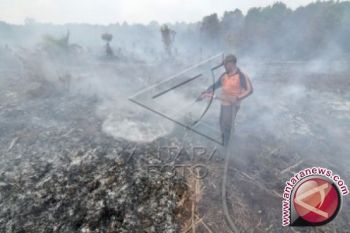 Palangka Raya mulai waspadai ancaman Karhutla