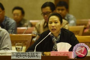 PMN ditangguhkan, BUMN didorong lakukan "Right Issue"