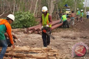 Pekerja PLN Palangka Raya Perbaiki Jaringan Listrik 