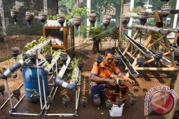 Program Napi Berkebun