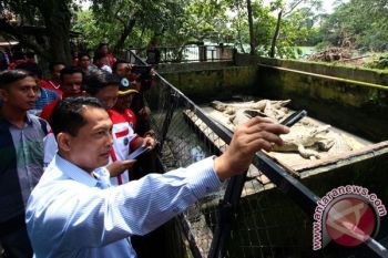 Budi Waseso Usul Adanya Penjara Khusus Bandar Narkotika