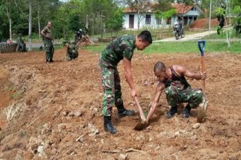 Kodim 1711/BVD tanam pohon di lingkungan asrama