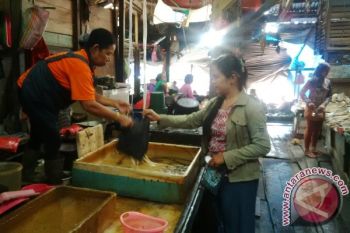 Harga Ikan Naik Kembali di Pangkalan Bun