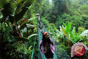 Pemkab Pesisir Selatan Perketat Pengawasan Hutan