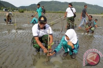 Lanal Lhokseumawe Tanam Dua Ribu Manggrove