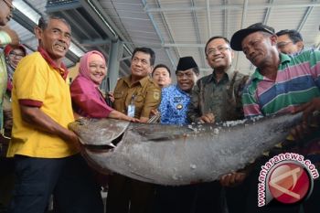 INDUSTRI PENGOLAHAN IKAN