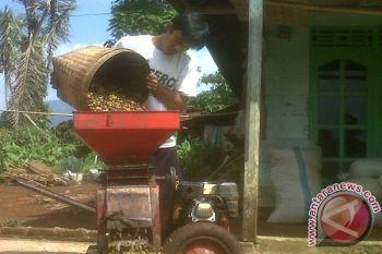 Kopi Lampung Sebagai Warisan Budaya 