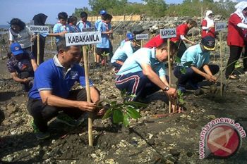 Bakamla Zona Tengah tanami Mangrove Pantai Molas 