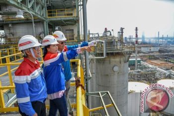 Rini: Empat Bisnis BUMN Terapkan "Virtual Holding"