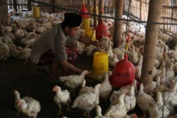 Ratusan Santri DIlatih Jadi Pengusaha