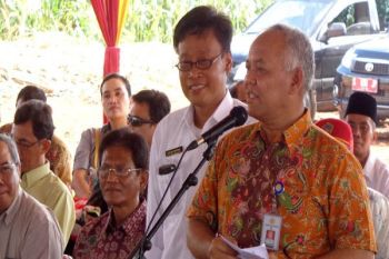 Harga beras naik karena gabah disimpan