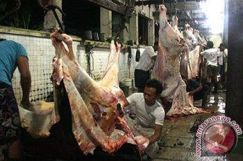 BLH : Limbah RPH Cemari Sungai Batang Piaman