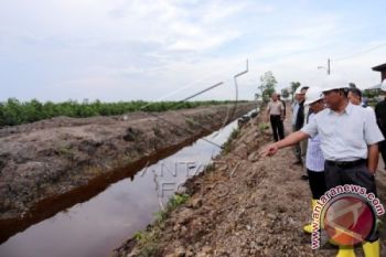 Sidang Lapangan Kebakaran Hutan