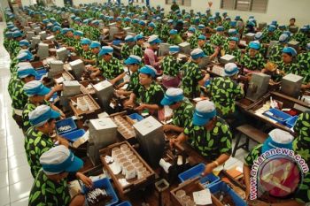 Ekonom: Produktivitas Tenaga Indonesia Kalah dari Kamboja