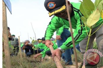 Ribuan Pohon Hijaukan Pantura pada Hari Armada