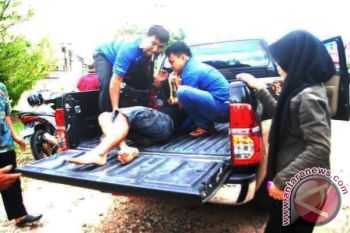 Mobil Kepala Dinas Perikanan Barsel Tabrakan