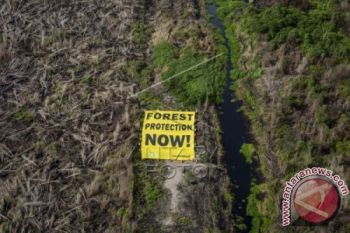 Pulang Pisau Masuk Prioritas Dalam Restorasi Gambut