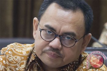 Team evaluating share price of PT Freeport Indonesia: Minister Sudirman