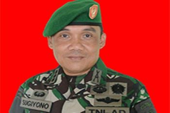 Danrem akan kerahkan prajurit droping logistik ke Towee Atas 