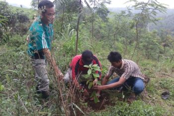 Desa di Batang Kelola Alam Gunakan Perdes