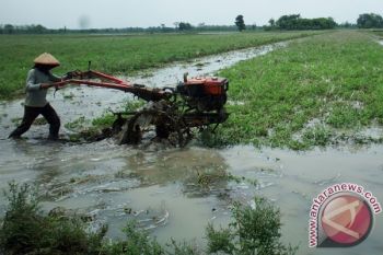 DPPK Temanggung Imbau Petani Lakukan Percepatan Tanam