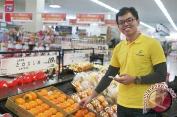 Honestbee brings on-demand grocery and delivery service to Japan