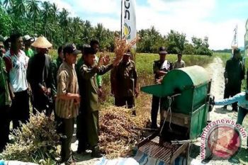 Sulteng targetkan produksi kedelai 79.396 ton