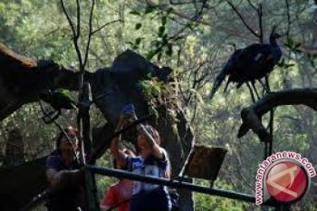 Kunjungan Wisatawan Ke Danau Lindu Meningkat 