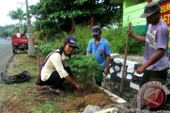 BLH Barut Tanam Pohon Dukung Program Adipura