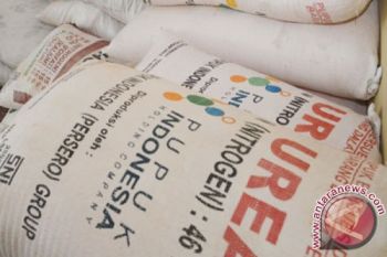 Serapan Pupuk Urea di Pekalongan Capai 85,7 Persen 