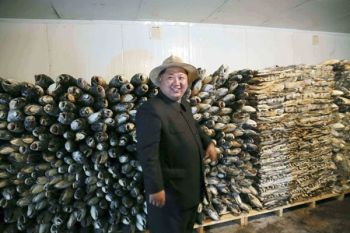 Majelis Umum PBB: Iran Dikritik dan Korut Dikecam Atas Pelanggaran HAM