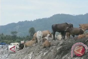 Pemkot Padang Siap Olah Sampah Jadi Listrik
