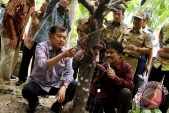Wapres Tinjau Industri Pengolahan Kakao Di Sultra