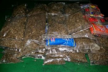 Yonif 431/SSP gagalkan penyelundupan dua kilogram ganja