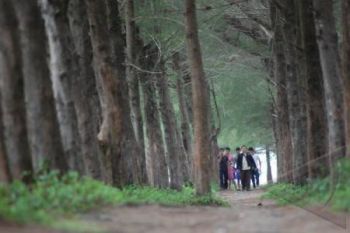 Perhutani Kembangkan Wisata Kawasan Hutan