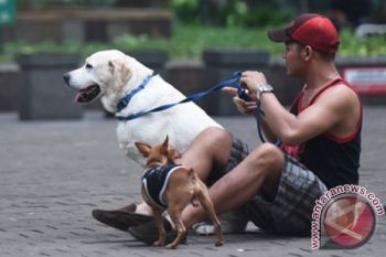 Pelihara Hewan Membuat Daya Tarik Seksual Meningkat