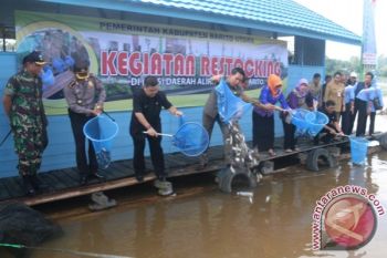 Barito Utara Tingkatkan Ikan Sungai Dengan Tebar 130.000 Benih  